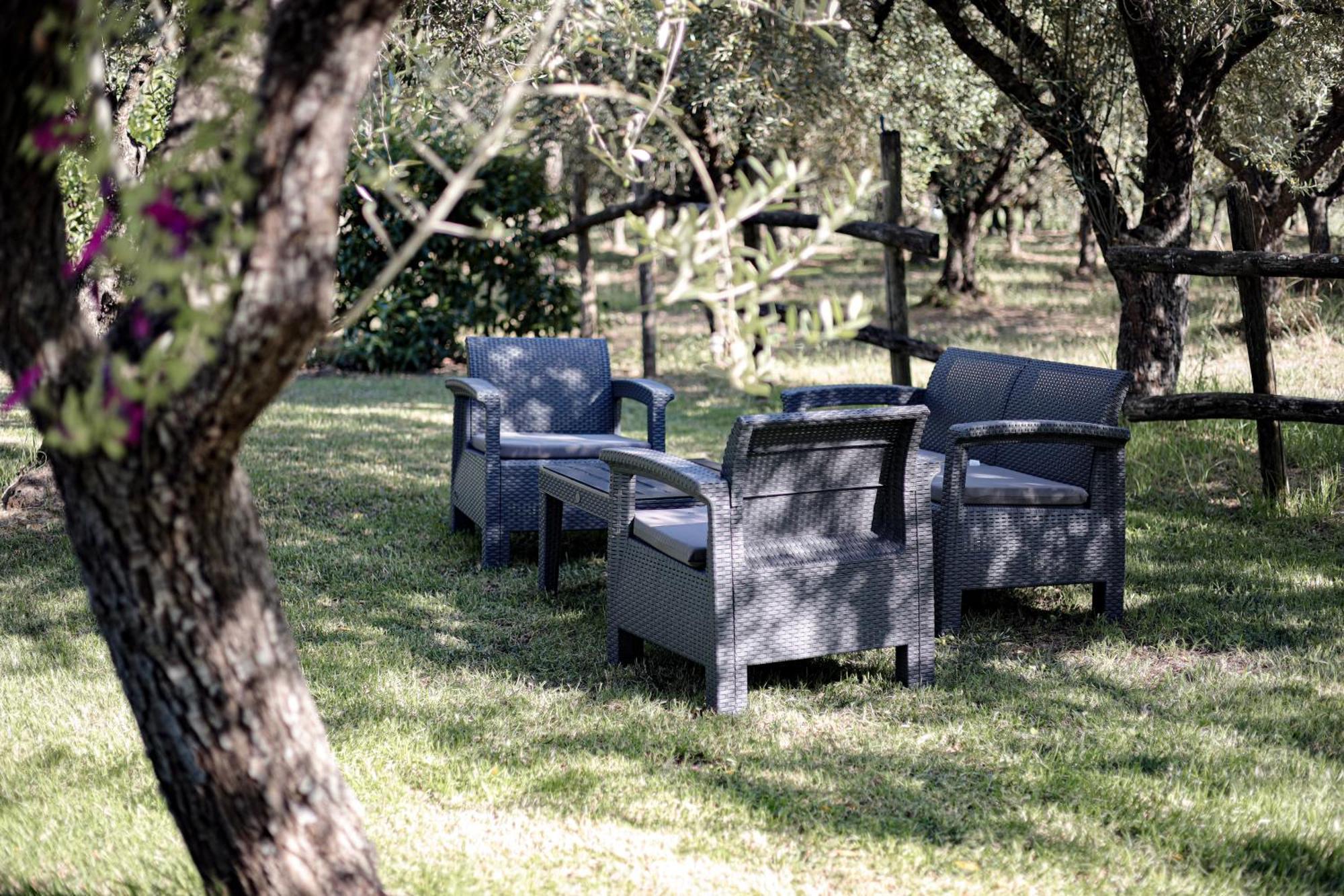 Agriturismo Il Pozzo Casal Velino Ngoại thất bức ảnh