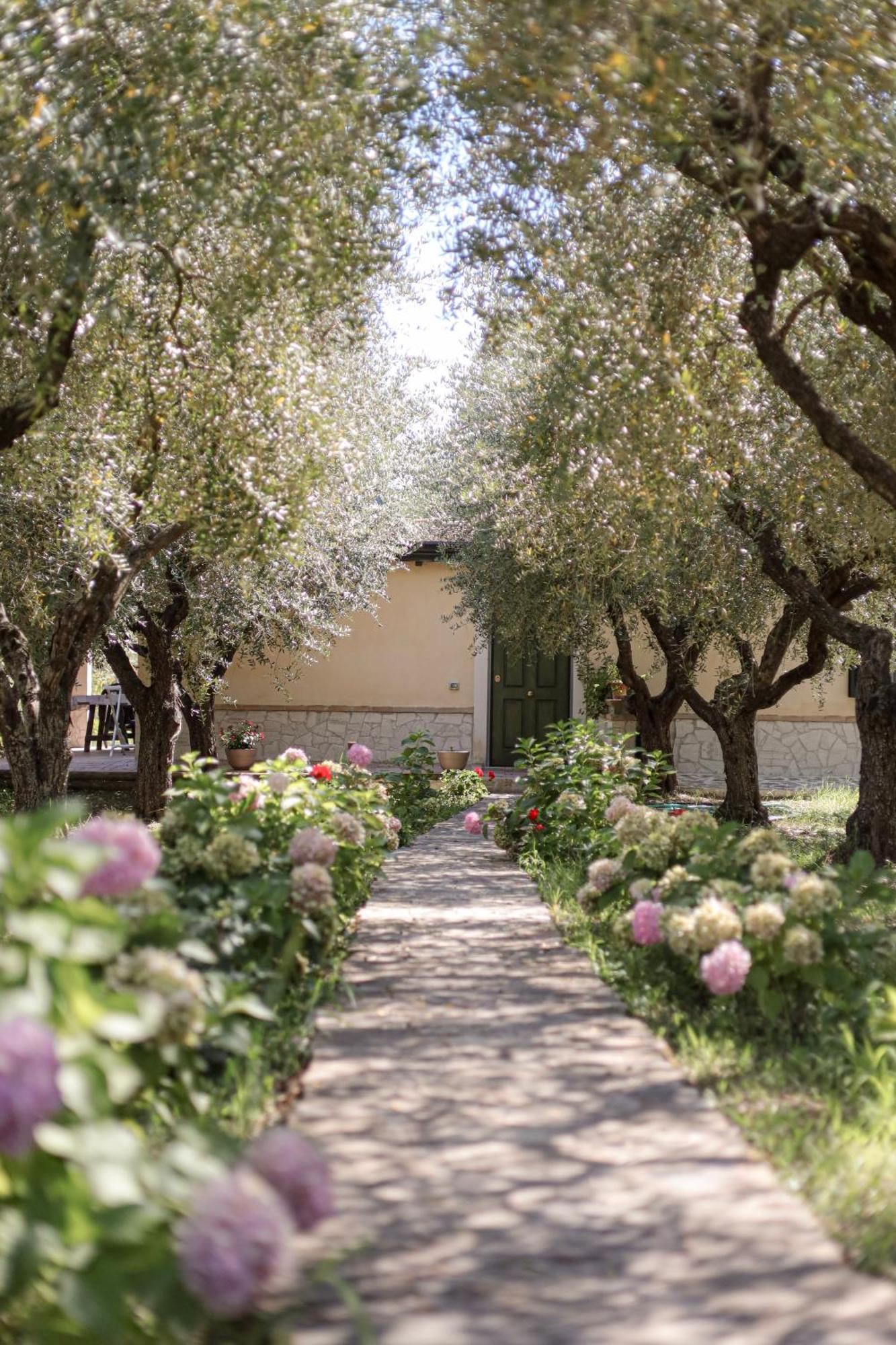 Agriturismo Il Pozzo Casal Velino Ngoại thất bức ảnh